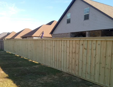 Fencing (1)